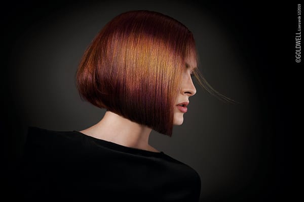 Premium Haarpflegeprodukte von KMS Goldwell und Alcina